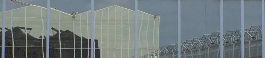 Beton is gestort voor 15 MW houtgestookte warmtecentrale in Koekoekspolder